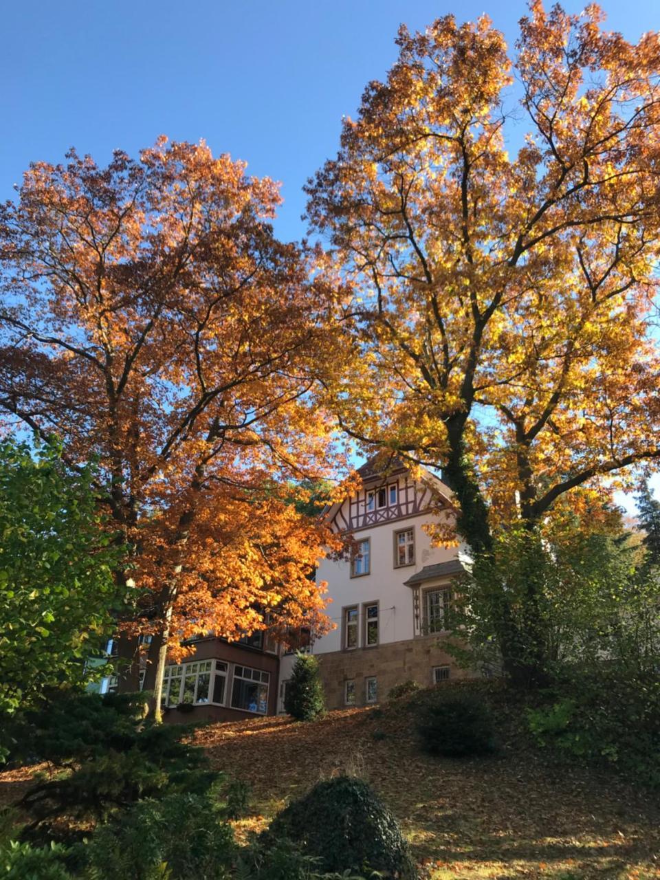 Waldhotel Bad Münstereifel Exterior foto